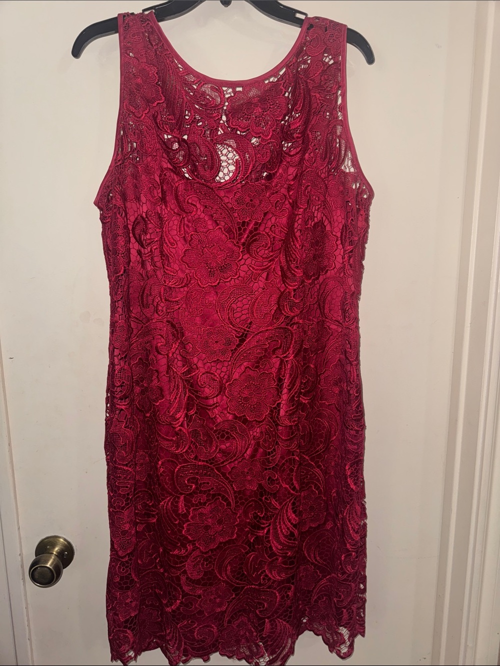 Adrianna Papell Rasberry Lace Sleeveless Sheath Dress